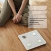 Midea Smart Body Fat Scale MS-CF4 CN Plug (adapter Included)