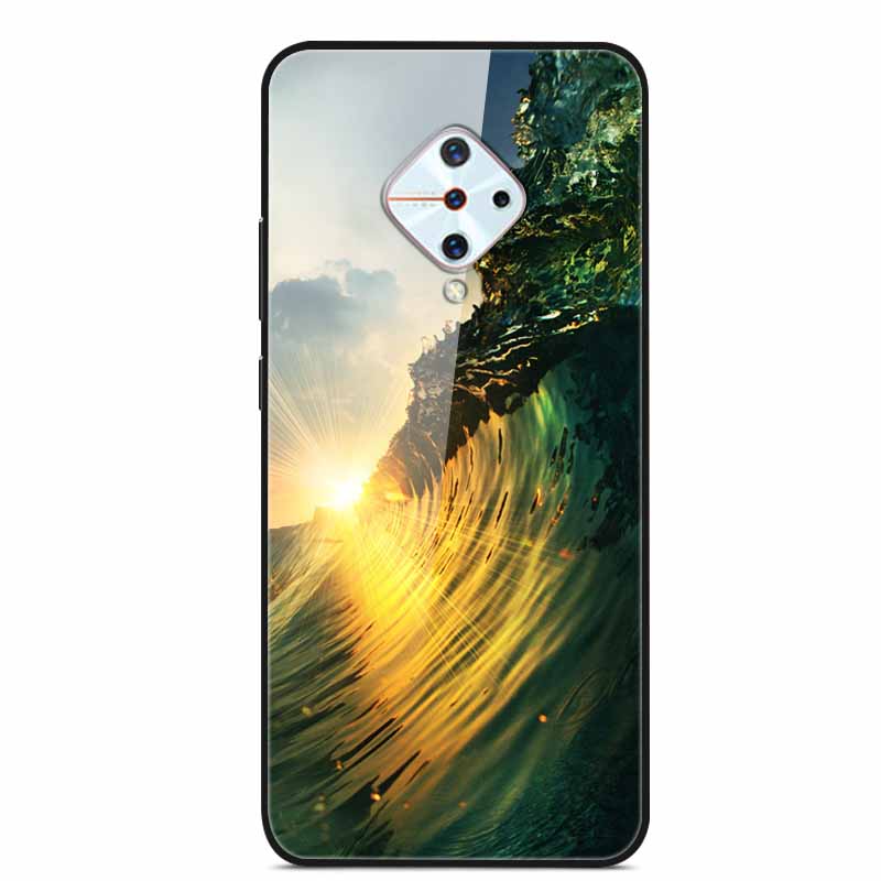 Tempered Glass Case For Vivo V17 Case Russia Glass Back Cover Soft Bumper For Vivo V17 Phone Cases V 17 Funda Y9s S1 Pro Coque