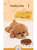 Cute Curly Teddy Dog Plush Toy - Lying Dog Pillow & Sleep Companion Gift