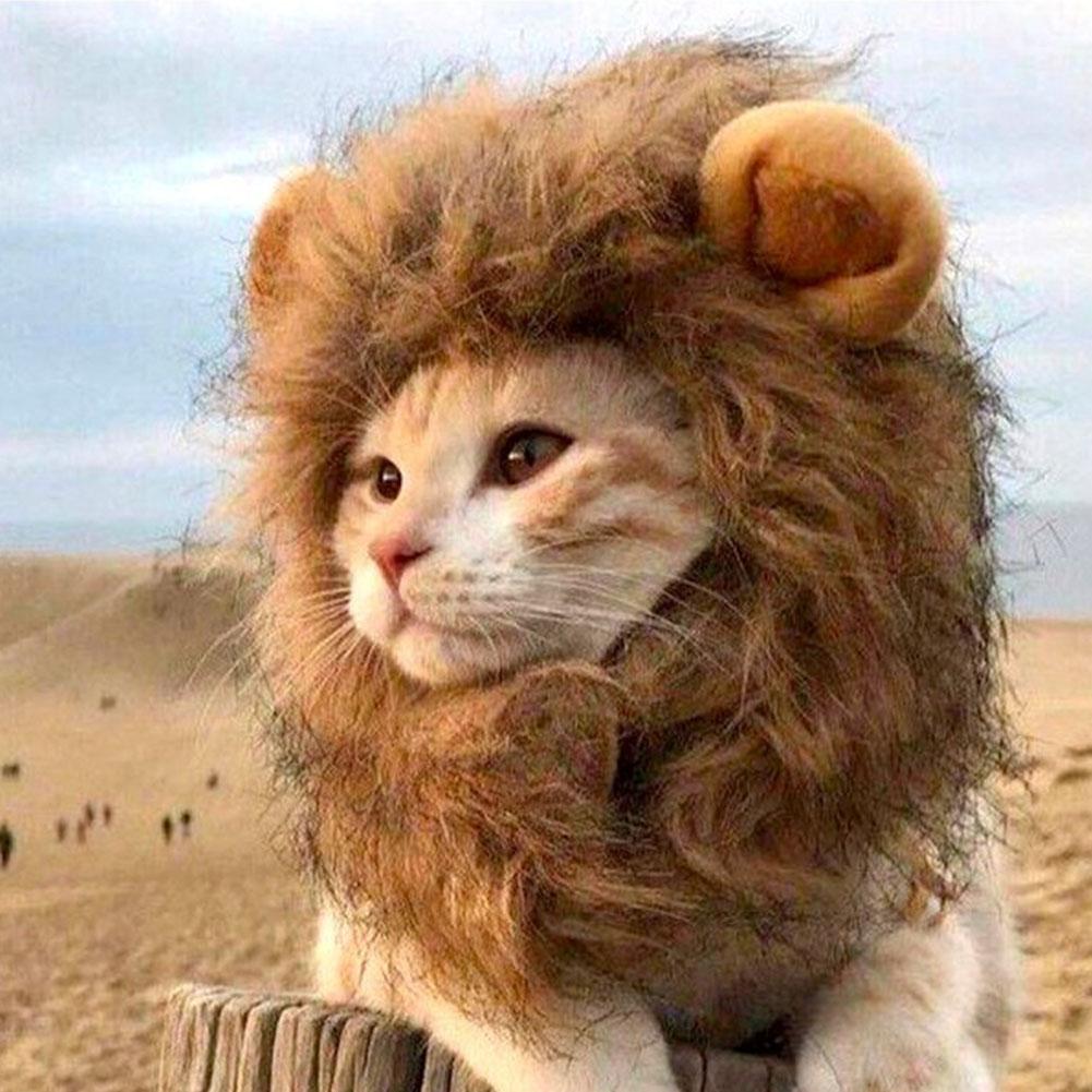 Lion Mane Wig for Cat,Dog and Cat Costume,Funny Pet Hairpiece Cat Costumes Headgear for Halloween Christmas Parties Photo Shoots