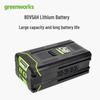 Greenworks 80V 5Ah Lithium-Ion Battery CN plug (adapter included)