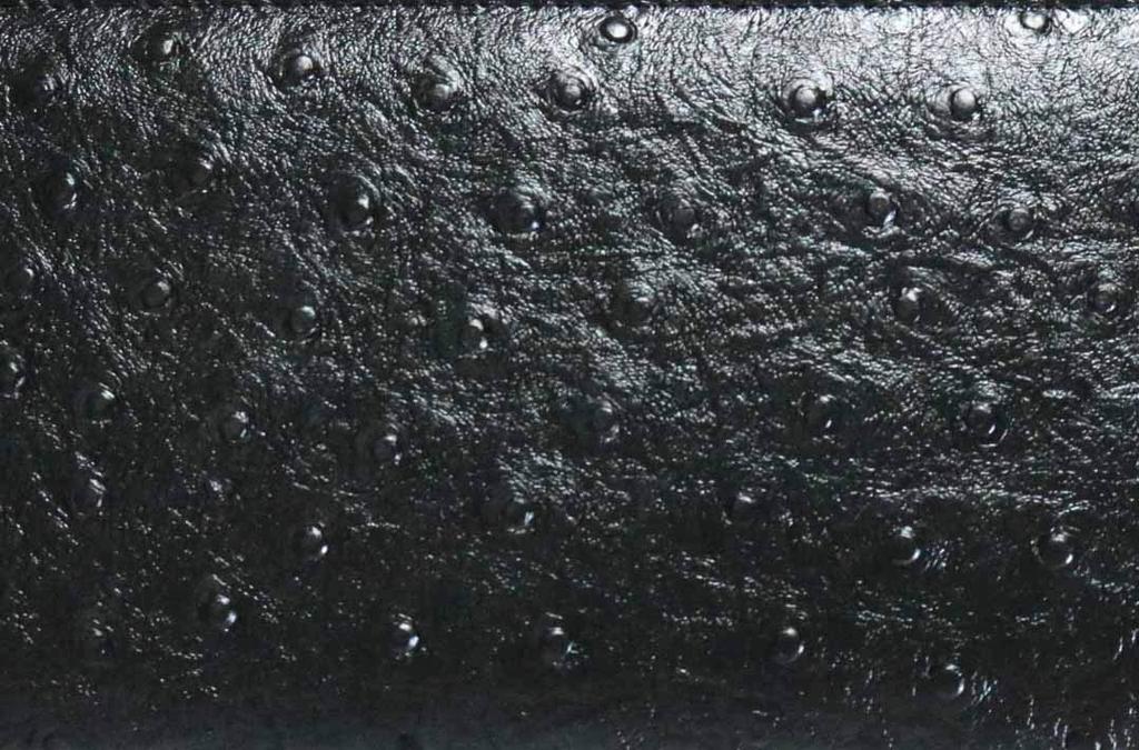 Bercute Men's Black Long Wallet, Genuine Leather, Large Capacity, Ostrich Leather Clutch Bag (1050873-F-003)