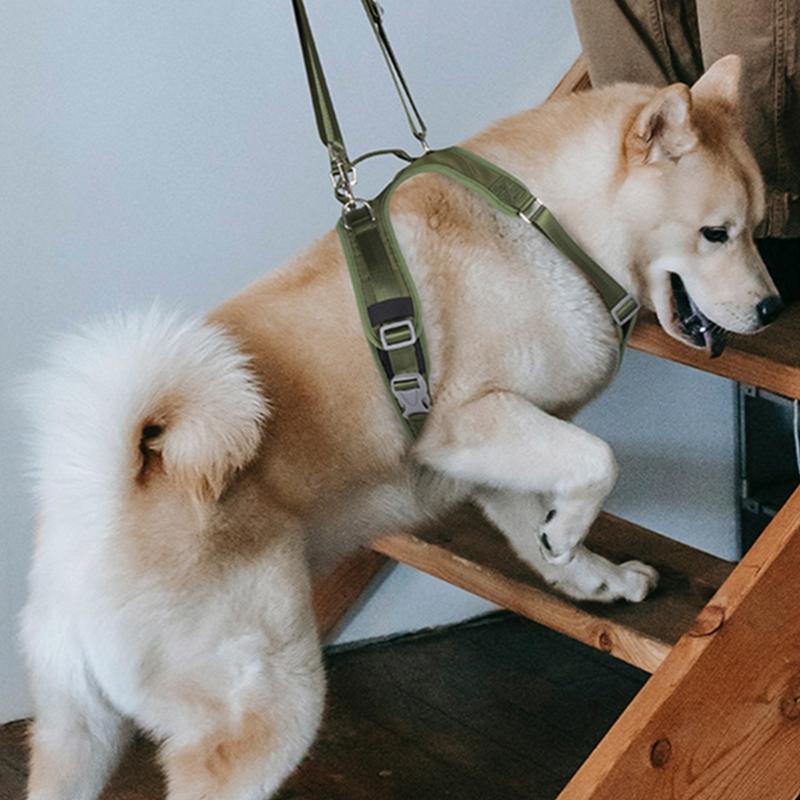 Handige hondenslingers Alle maten Honden Voor- en Achterpootondersteuning Tilharnas voor Gewonde Oude Hond Gehandicapte Huisdierbenodigdheid