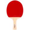 DHS Progresser III L Table Tennis Racket Pair