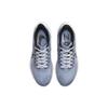 Nike Air Zoom Pegasus 39 Ashen Slate Men Sneakers Blue Football-Grey Cobalt-Bliss DH4071-401