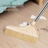 Household Pig Bristle Broom