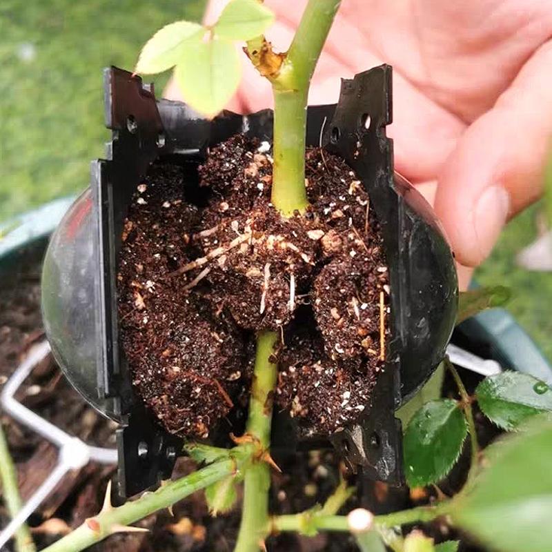 30/5 Stück Pflanzenbewurzelungs-Wachstumskugeln Hochdruck-Vermehrungs-Pfropfkugeln Wiederverwendbare Pflanzenbewurzelungsgeräte Gartenpfropfbedarf