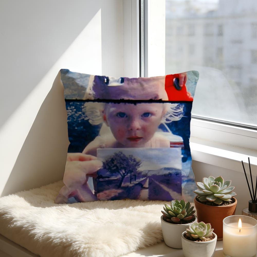As I Was Moving Ahead Occasionally I Saw Brief Glimpses Of Beauty Cushion Velvet Throw PillowSoft Warm Cushion For Sofa Bed