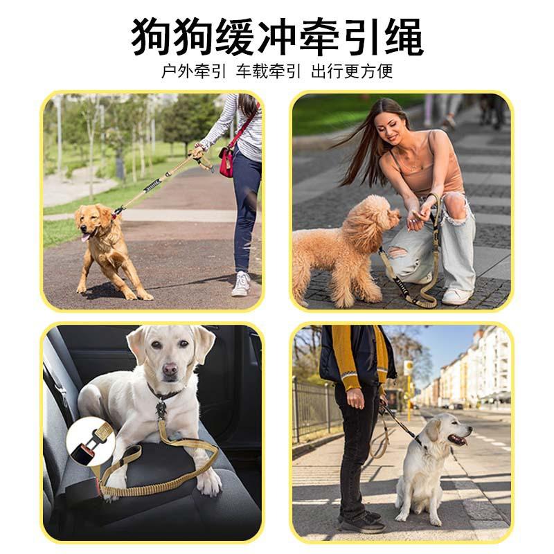 Adjustable Reflective Dog Leash With Heavy-Duty Frog Clip Medium To Large Dogs