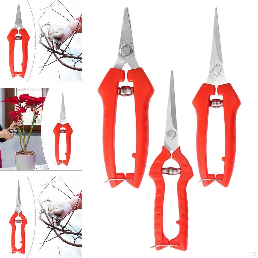 Cutting Shears for Garden Maintenance And