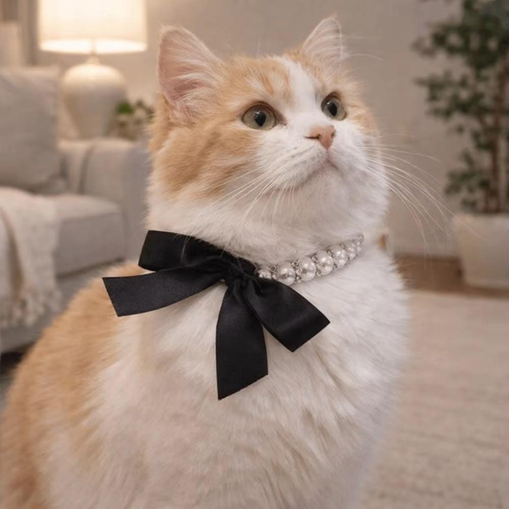 Imitation Pearl Bling Cat Necklace Lace Bow Decor Pet Collar Decoration  Pet Daily Wear