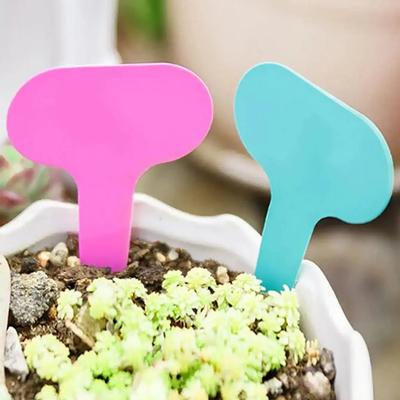 100 Stück-Pflanzenetiketten aus Kunststoff, Gartenetiketten, Hängeetiketten für Pflanzen, verwendet für Gartenbau und Organisation-zufällige Farbe