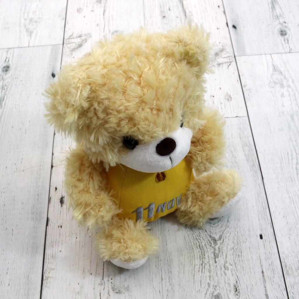 Takeoff Plush Toy BEAR'S365 November Beige