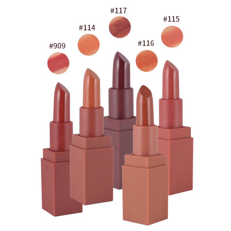 Matte lipstick mask pumpkin color lipstick moisturizing lip gloss