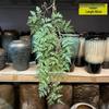 Artificial Spider Plant & Fern Hanging Decor - Trailing Green Vines for Wall & Ceiling