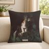 Rapper ZZICO Cushion Cover Soft Short Plush SkinFriendly Cushion Case for MultiScene Use