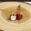Take a Bite of the Apple! Ankara Red Stud Earrings Niche Design High Sense Sweet Delicate Versatile Fashion Earrings Women