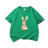 Brown Rabbit Graphic Tee Kids 100 Cotton Crew Neck Muticolor T Shirt Short Sleeve Breathable Tops For Boys Girls Children