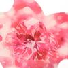 1Pcs Nail Art Display Cards Handmade Nails Photography Prop Nailfie Disc Nail Salon Accessory Nail Tech Prop Nail Selfie Disc