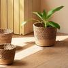 Natural Handwoven Planter Basket