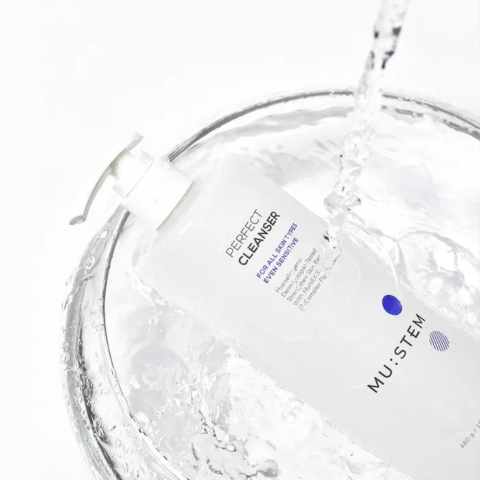 

[Не раздражающее очищение]_Perfect Cleanser 480г