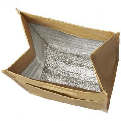 Paper Cooler Bag