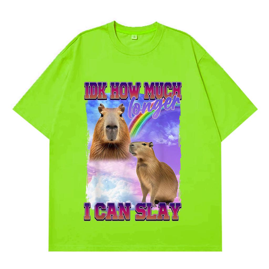 IDK How Much Longer I Can Slay Funny Capybara Meme TShirt Unisex Unisex Fashion HipHop Tshirts Summer Cotton Oversized Tshirts