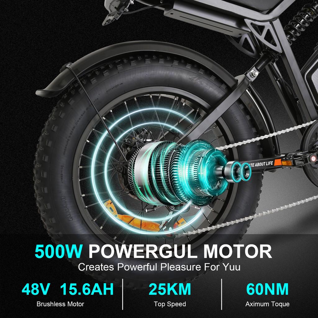 FXH-002 45KM/H Electric Bike 500W48V15.6Ah Fat Tire Adult Off-Road Mountain Electric Bicycle