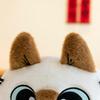 New Siamese Cat Mashed Doll Cute Throw Pillow Children's Birthday Gift Plush Toy Doll