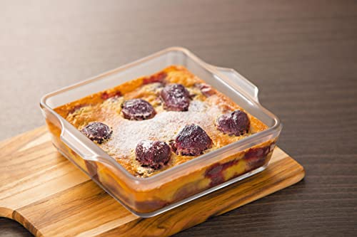 Adelia Cerabake Square Roaster S, Microwave and Oven Safe