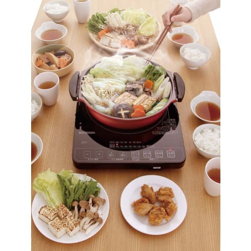 IRIS OHYAMA IH Cooking Heater, IH Stove, Yakiniku Plate & Pot, Black, IHC-T51S-B