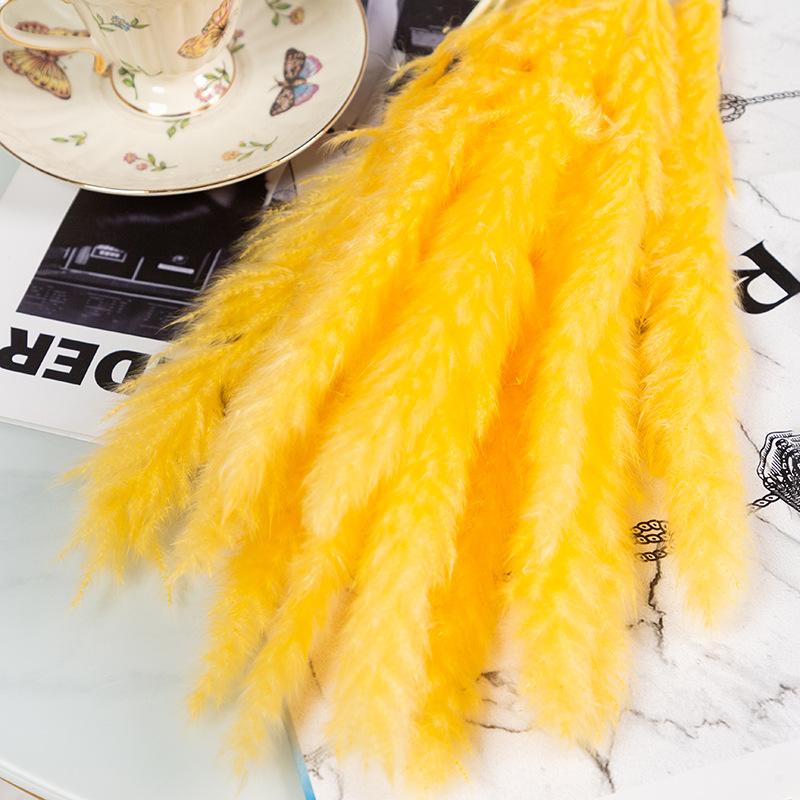 Small Reed Pampas Grass Dried Flower Special Offer Small Reed Dried Flower Bouquet Decoration Wedding Arrangement