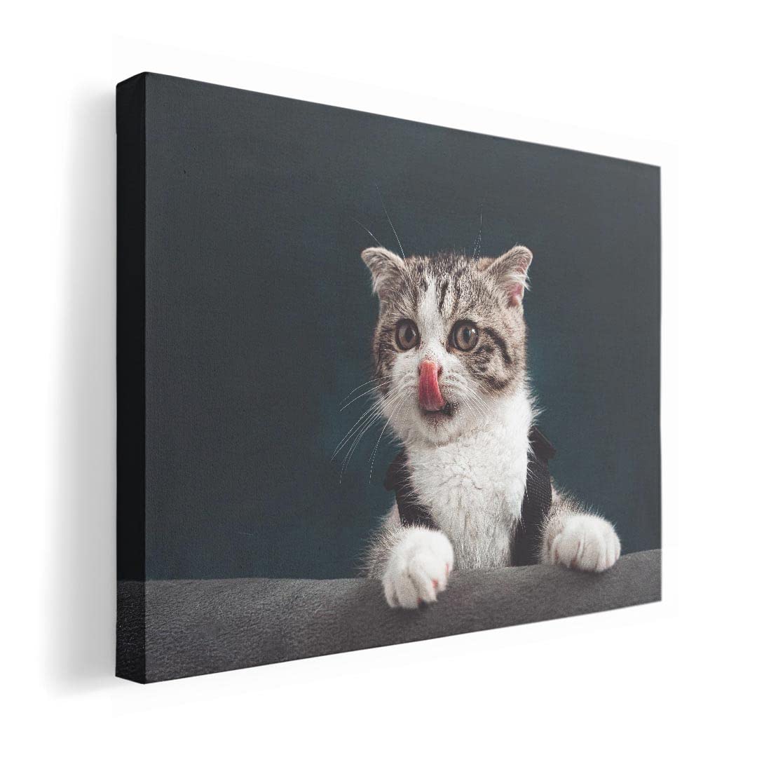 

Art 420mm x Wall Wooden Stylish Interior Animal Photo Panel, Picture, Painting, Decoration, igsticker, 297mm, A3, Photo, Hanging, Frame, Decor,