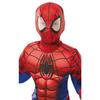 Spider-Man Boys Deluxe Costume