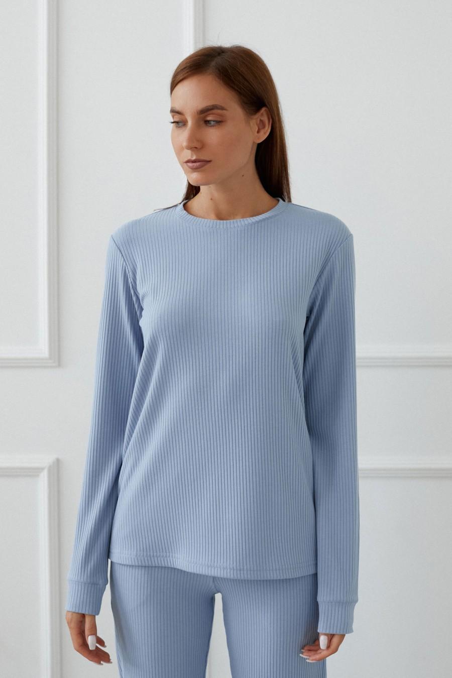 

Жіночий лонгслів (95835) 48/50(XL/XXL) французький небо синє кольору