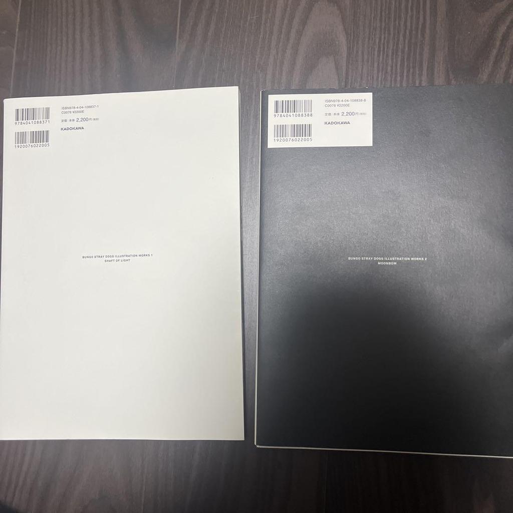 [USED] Bungo Stray Dogs Art Book