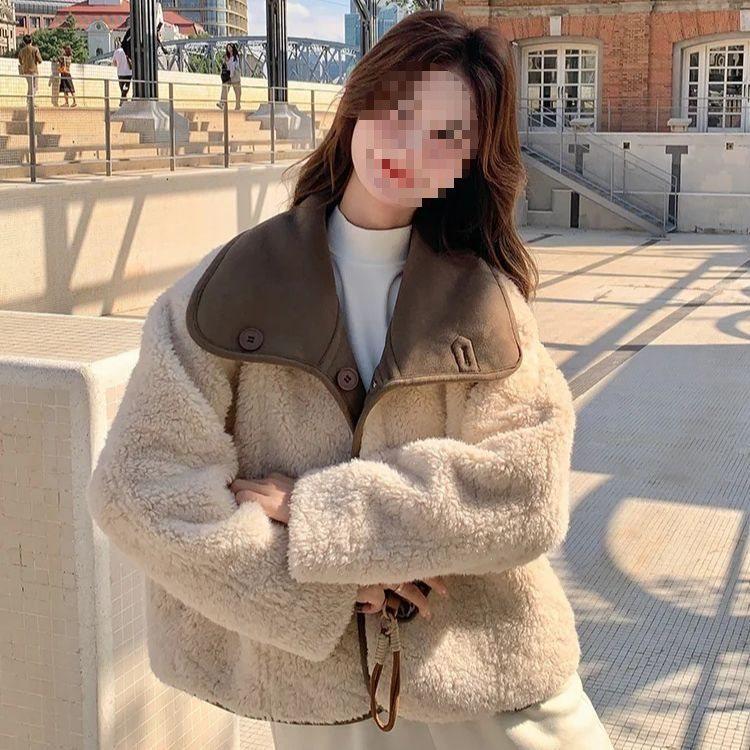 Double-Sided Fur-Integrated Suede Lamb Wool Coat for Women - Korean Winter Style