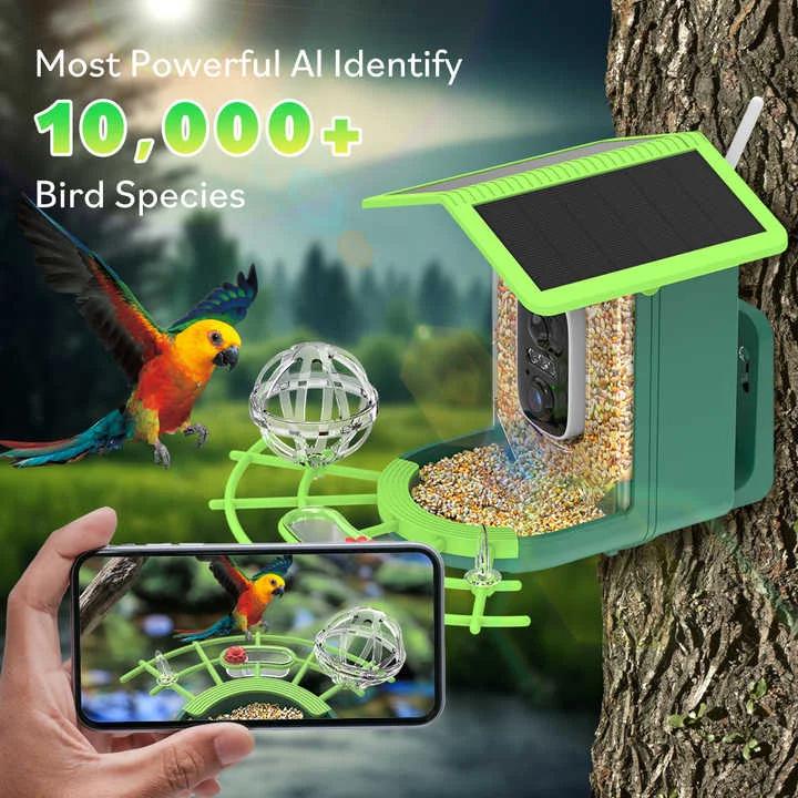 Smart Solar Bird Feeder with AI Recognition and Low Power HD Camera