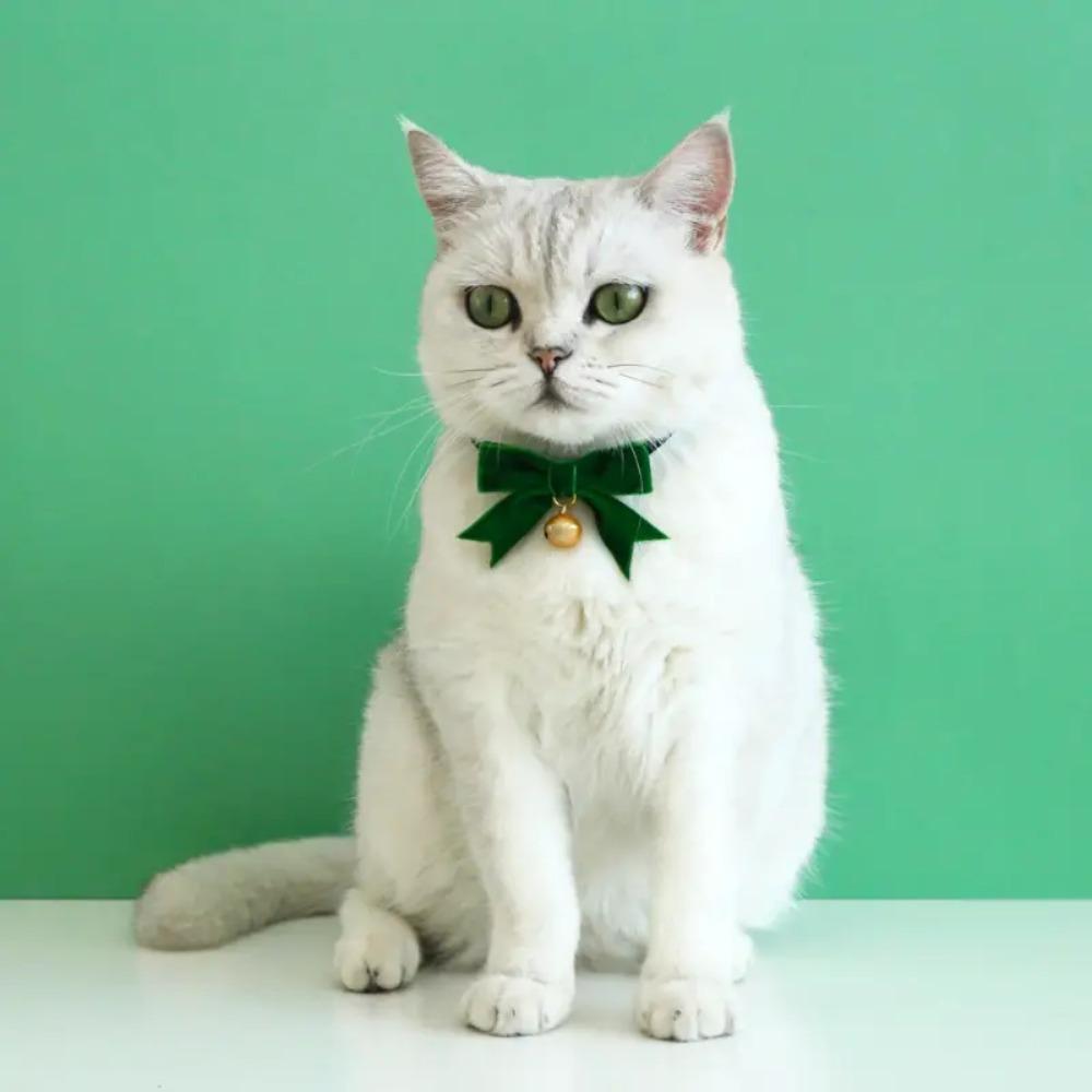 

Exquisite Bow Collar Vibrant Cat Bow Tie Durable Dog Collar Cats