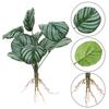 Gift Desktop Ornament Home Decoration Simulation Greenery With Root Artificial Hydroponic Plants Plant Wall