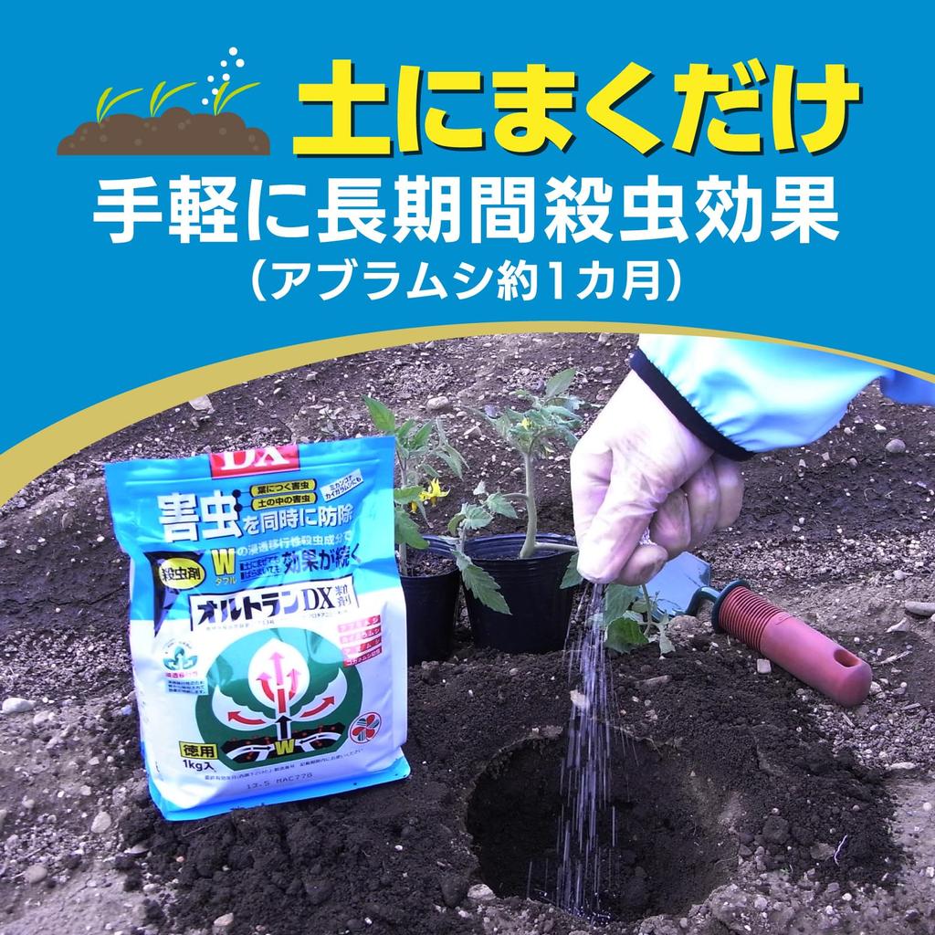 Sumitomo Chemical Gardening Ortran DX Granules Effective Against Aphids and Scarab Larvae Insecticide, 1kg, Systemic,