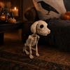 Dog Skeleton Haunted Skeletal Plastic for Party