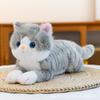 Cute Simulation Cat Plush Toy Pillow Birthday Gift Stuffed Doll Company Present