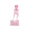 3D Printed Dancing Skeleton Aquarium Bubbler Plastic with Air Tube Fish Tank Dance Skull with Air Tube Dynamic Skeleton Bubbler