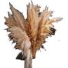 Extra Large Preserved Pampas Grass Bouquet for Nordic Style Decor