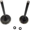 Intake & Exhaust Valve Kit for Hisun HS 500CC ATV/UTV - 1PC Each Replacement ERP Codes P002000147110000 & P002000147210000
