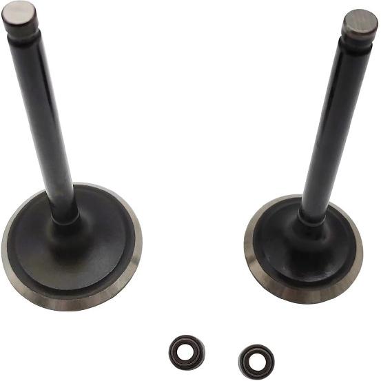 Intake & Exhaust Valve Kit for Hisun HS 500CC ATV/UTV - 1PC Each Replacement ERP Codes P002000147110000 & P002000147210000
