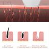 Hair Removal Epilator for Women Flash Depilator LCD Pulses Permanent Epilator Painless Hair Removal,US Plug
