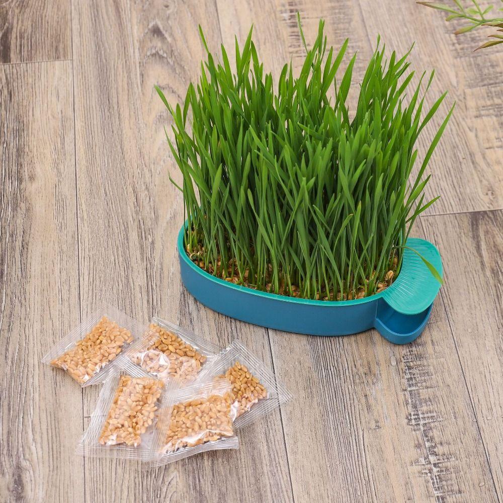 Hierarchical Design Cultivation Sprouting Tray Creative Cat Grass Planting Hydroponic Sprouting Plate Reusable Convenient