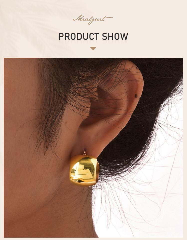 Chunky Geometric Hoop Earrings for Women, Circle Huggie Ear Jewelry, Stainless Steel Waterproof Earring Oorbellen Wholesale